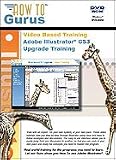 Adobe Illustrator CS3 Upgrade Training on 1 DVD. Over 3 hours of video in 36 lessons.