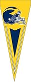 Yard or Wall Pennant - Michigan