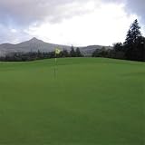 Penncross Creeping Bent Grass - 5 LBS