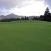 Penncross Creeping Bent Grass - 2 LBS
