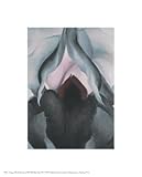 Georgia O'Keeffe Black Iris 1906 8 x 7 Poster Print