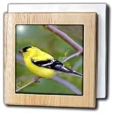 Review 3dRose LLC  / American Gold Finch - 6 Inch Tile Napkin Holder