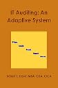 IT Auditing: An Adaptive System