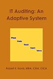IT Auditing: An Adaptive System