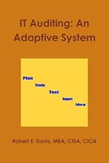 IT Auditing: An Adaptive System