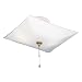 Westinghouse #66200 2 Light SQ Ceiling Fixture