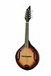 Breedlove American Series OF Mandolin, Burst