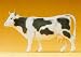 Preiser 47003 Black / White Cow Standing