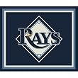Tampa Bay Rays 2'8"x3'10" Team Spirit Area Rug