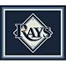 Tampa Bay Devil Rays 5 4" x 7 8" Team Spirit Area Rug