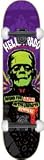 Helldorado Rock & Roll Skateboard - 8.75 Purple w/Thunders, Spitfires