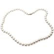 HinsonGayle Premium Round 6.5-7.0mm White Freshwater Pearl Necklace