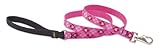 LupinePet 3/4-Inch Puppy Love 6-Foot Dog Lead