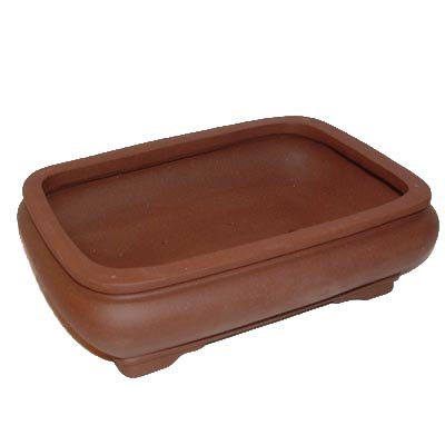 25cm High Quality Fine Clay Bonsai Pot - 6