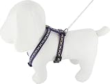 Kakadu Pet Cheyenne Nylon Roman Dog Harness, 1/2" x 12"-20", Purple
