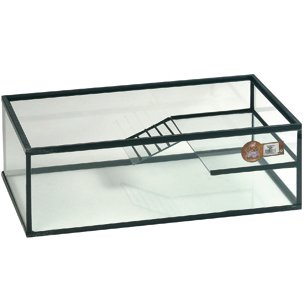 Flamingo 405576 Schildkroteb. Trias 60 x 35 x 20 cm Preisvergleich