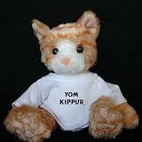Plush Stuffed Cat (Kit Kat) toy with Yom Kippur t-shirt