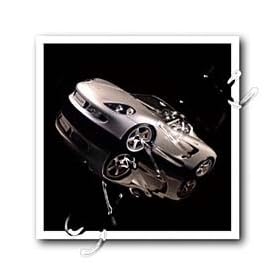 Cars - Porshe Carrera - Iron on Heat Transfers