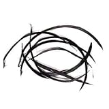 Black colored 4 x 1/8 to 6-1/2 x 1/8 inch biot goose (dyed) feather. Sold per pkg of 0.025 ounce & approximately 5 feathers.