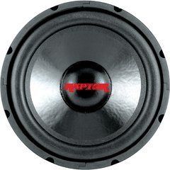 Raptor 10 Subwoofer Raptor 10