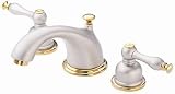 Bathroom Faucet by Danze - D302455-SNPV in Satin Nickel with Polished Brass Accents