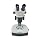 VanGuard Stereo Microscope with Binocular Head and Illuminated Stand, 10X Eyepiece, LED Light Source