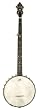 Recording King California Deluxe Open Back Banjo