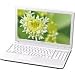 dynabook B351