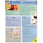 COPD: Reference Guide (Quickstudy: Health)