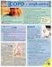Books : COPD - Emphysema (Quickstudy: Health)