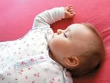 Gro-Group Sleeping Bag Petite Fleur 2.5tog 0-6mths