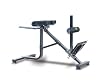 Powertec Fitness P-HC 45 Dual Hyperextension / Roman Chair