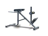 Powertec Fitness P-HC 45 Dual Hyperextension / Roman Chair