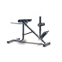 Powertec Fitness P-HC10 45-Degree Dual Hyperextension / Roman Chair