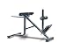 Powertec Fitness P-HC 45 Dual Hyperextension / Roman Chair Powertec Fitness P-HC 45 Dual Hyperextension / Roman Chair