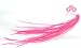 Buy Braiders - Babe Feathers - Solid Pink