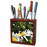 Patricia Sanders Flowers - ladybug and daisy - Tile Pen Holders-5 inch tile pen holder