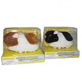 Runabout Hamster The Carefree and Playful Hamster Pet