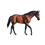 Breyer Traditional Seabiscuit