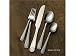 Farberware 65pc Swirl Flatware Set