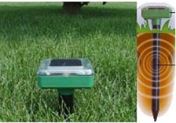 Childrens Toyshop  Electronics : SolMate Solar Mole Repeller P7909