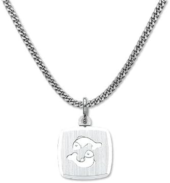 Jewellery: silver zodiac pendant * Pisces