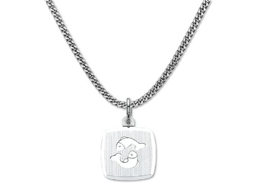 Jewellery: silver zodiac pendant * Pisces