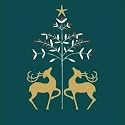 Shelter and St Mungos Charity Christmas Cards - Star of Wonder (Pack of 8)