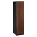 Series A: Vertical Locker- Hansen Cherry