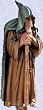 wane the nature wizard statue home garden sculpture New