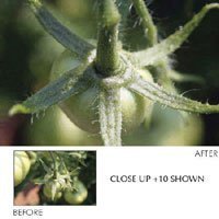 Hoya - Close-up lens kit x 3
