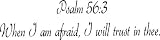 31q9dOA75KL. SL160  Choosing The Right Font For Your Custom Signs