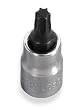 1/4 Driver x SD-25 Star Bit Socket - CV