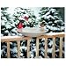 HEATED BIRDBATH 2OINCH, Size: 150 WATT (Catalog Category: Wild Bird:BATHS & HOUSES)